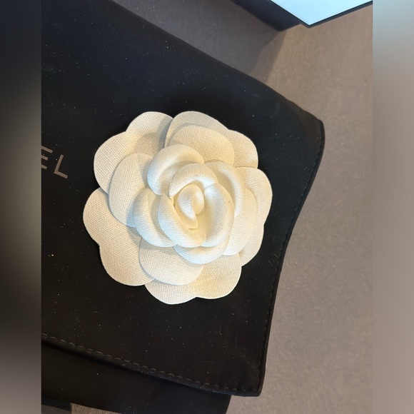 CHANEL iridescent blue wallet on chain silver hardware flap bag - Picture 15 of 15